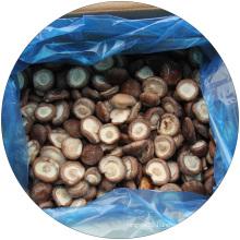 Frozen Cutting Quarter Shiitake mushrooms
